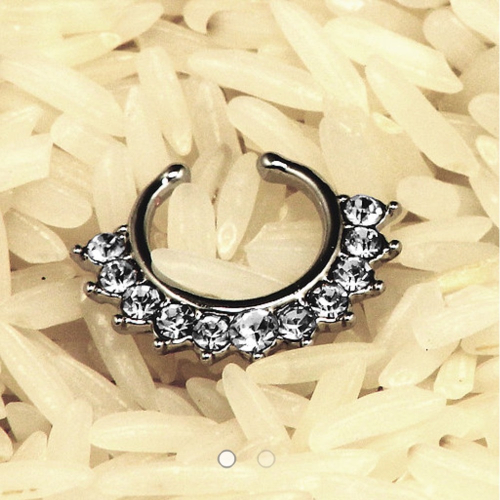 Silver Color Royal Crane Diamond Faux Septum